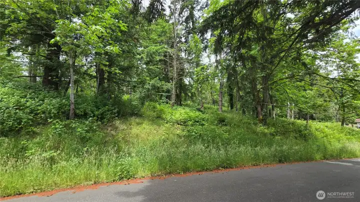 This area is the most likely to place your home outside of buffers. Walk this portion to see if this works.