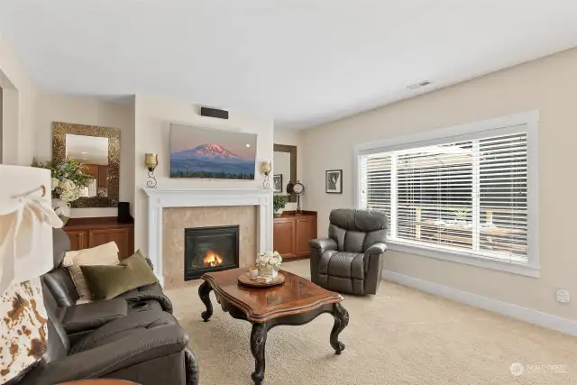 Large 14.5 x 14.5 living room is bright with built ins and a cozy gas fireplace.
