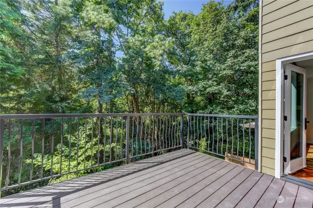 Main level deck with access to family room