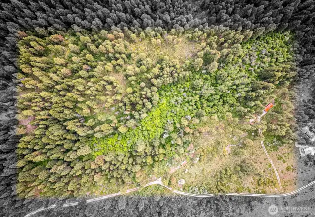 Rough Property Lines