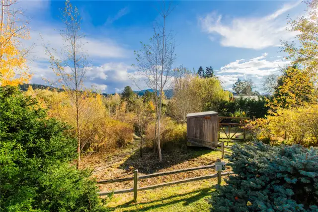 Shared yard and tool shed