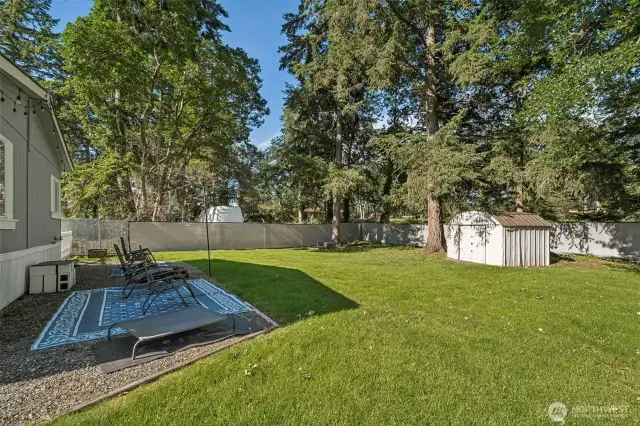 Huge yard with a couple sheds (not in the best shape).