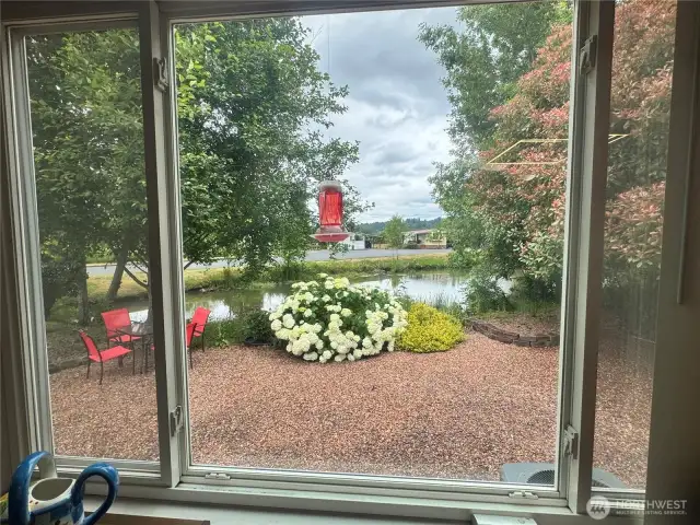 Here's the back yard waterfront, as seen from the living room. It's a view that just doesn't quit. Can you see the wild turtles?