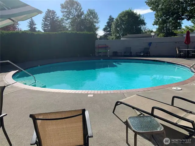 The swimming pool.