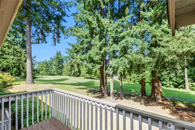 Welcome home to fabulous fairway views!