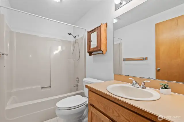 Lower level 2nd bathroom