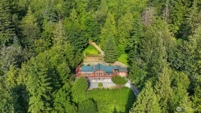 10 acres of forest to play in