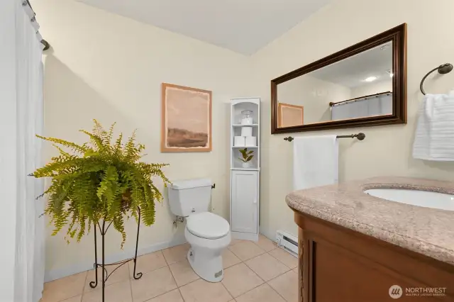 Main level bathroom