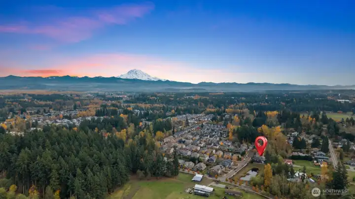 A day trip to Mount Rainier is so fun and adventurous!