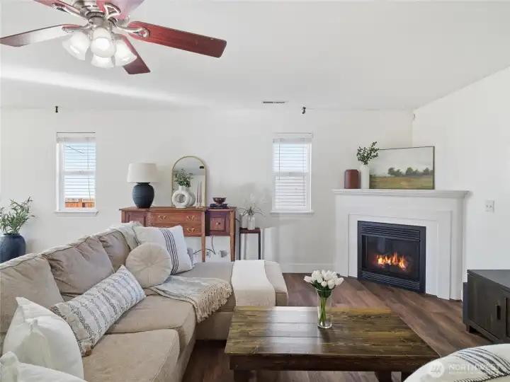 living room with gas fireplace