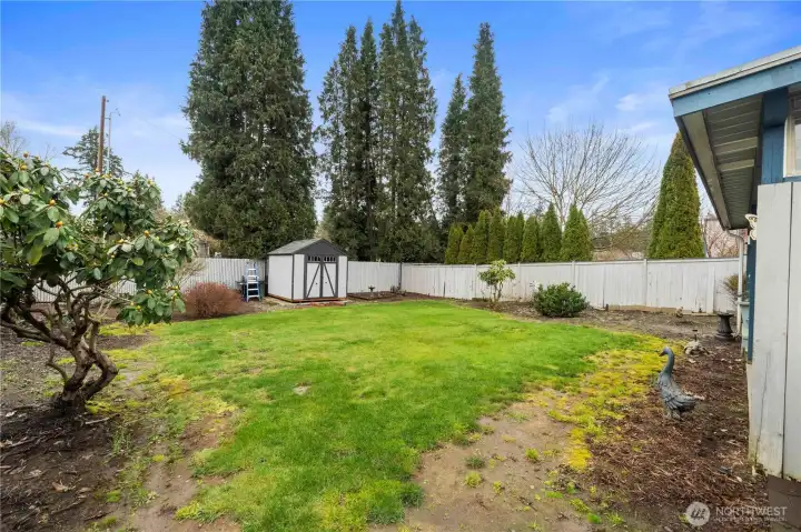 Alt View of Backyard Lawn