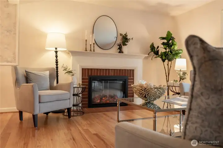 Electric fireplace insert