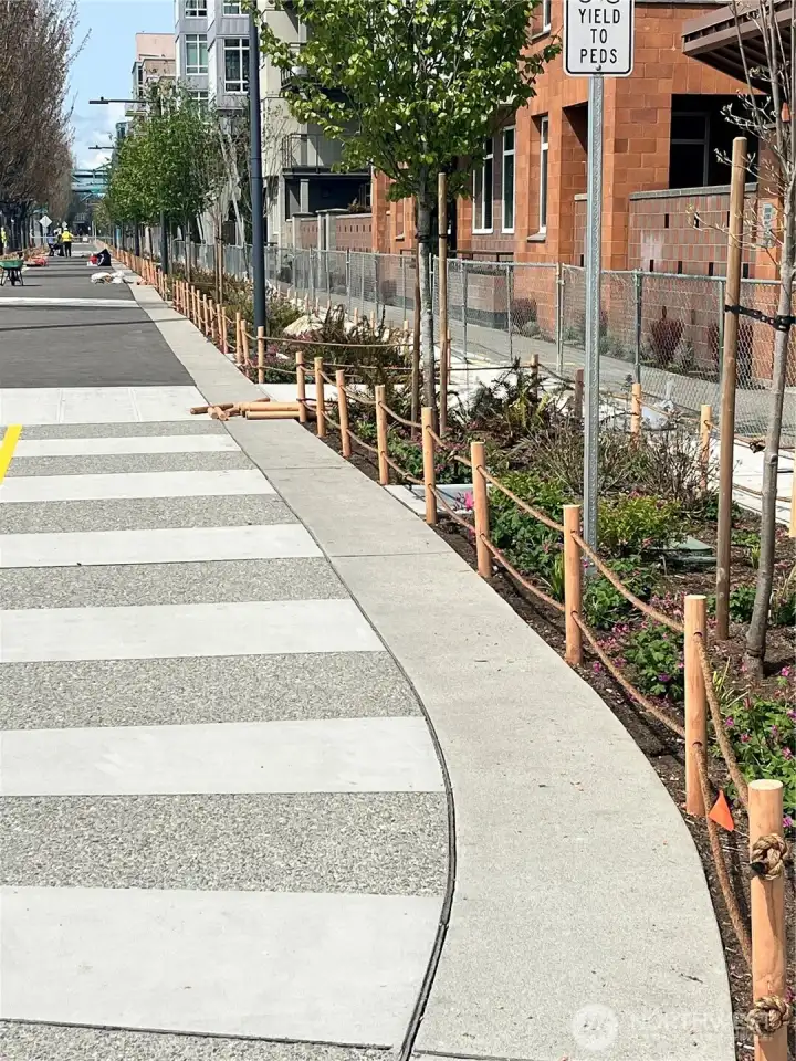 Newly landscaped biking / walking path right out front