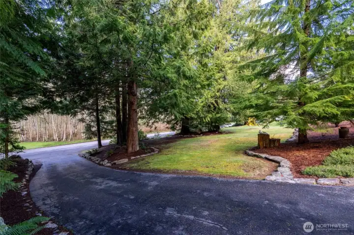 The home feels very private thanks to the mature landscaping and long driveway.