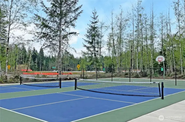 Tennis/pickleball court and half-court basketball court