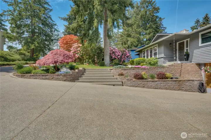 New concrete and driveway give a sense of arrival to this beautiful home.