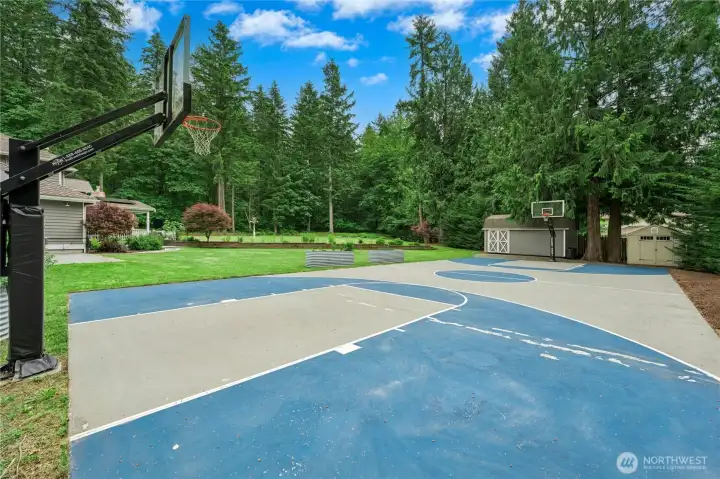 Private basketball court