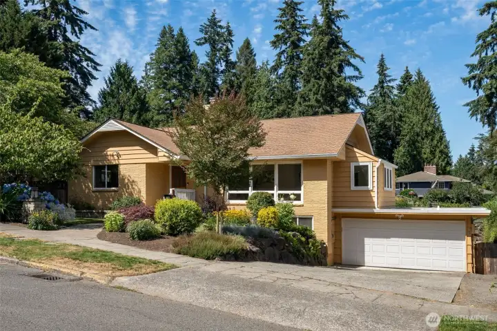 Perfectly positioned Sheridan Heights home with fresh paint, newly refinished hardwood floors and refreshed kitchen and bathrooms. Perfectly positioned Sheridan Heights home with fresh paint, newly refinished hardwood floors and refreshed kitchen and bathrooms.
