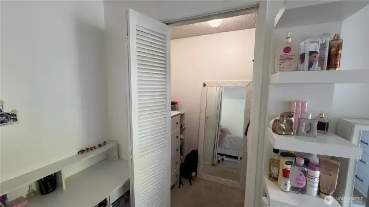 Walk-in closet as well Walk-in closet as well
