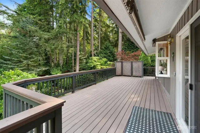 Expansive back deck.