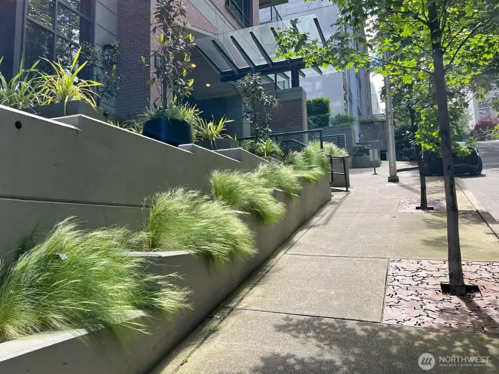 The Meridian owners & management take pride in ownership through professional landscape, maintenance, window washing & security.