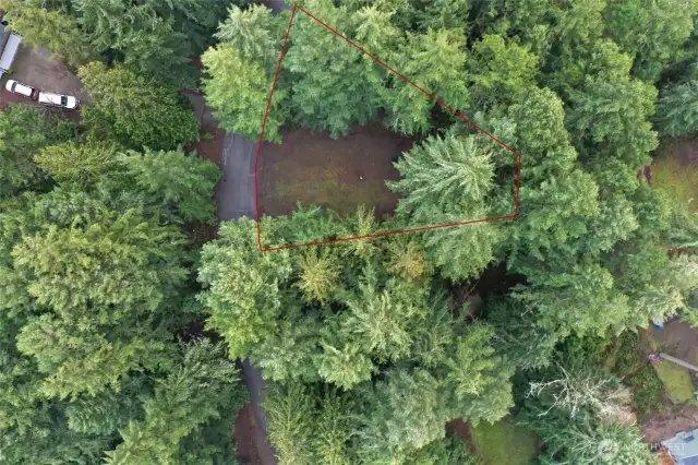 Parcel lines from public data.  Buyer to verify lot lines.  Seller indicates lot line is near power pole. No current survey on file.  Some corners are marked.