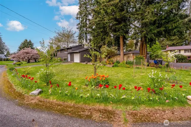 Colorful plantings sprinkled around the property.