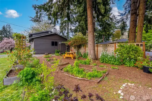Raised garden beds are sure to please the gardening enthusiast.