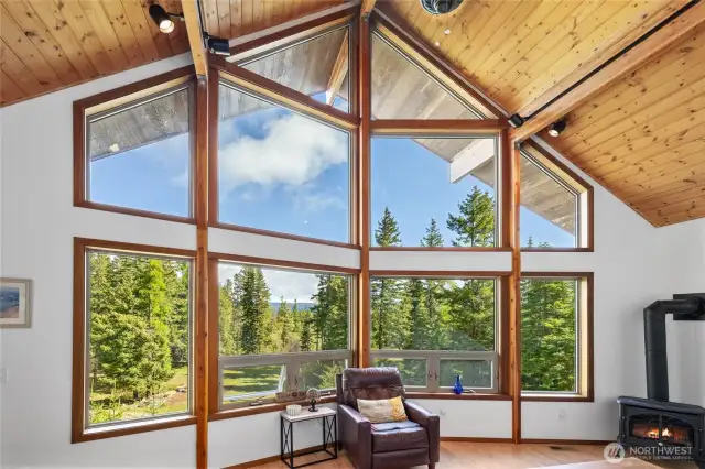 Gorgeous natural light from the floor to ceiling windows. Not another home in sight!