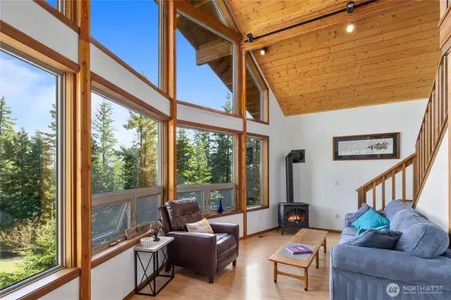 Cozy living space with propane free standing stove!