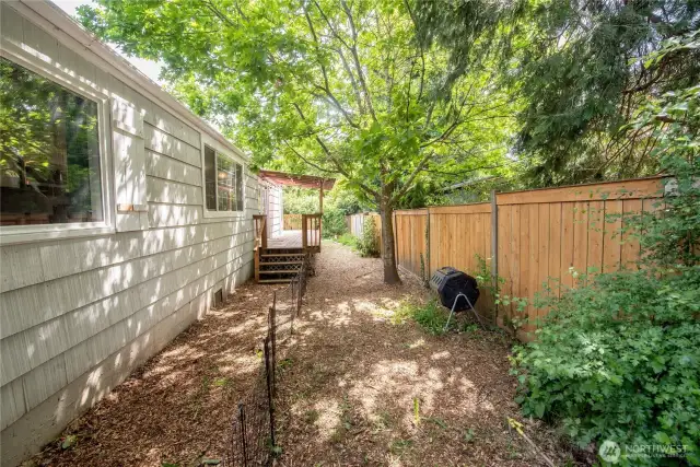 Private, shady side yard