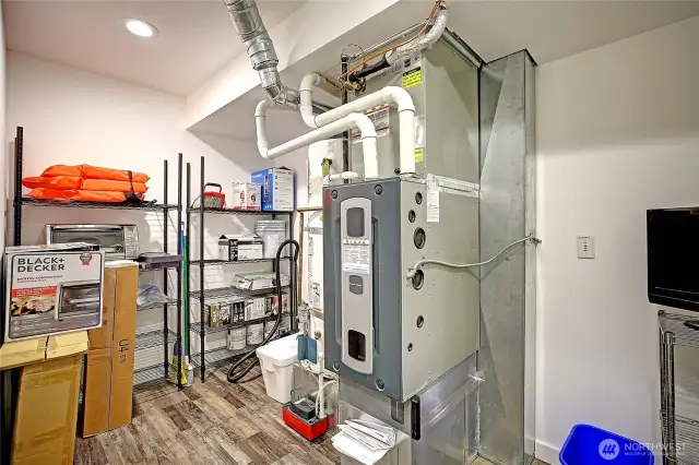 Lower Utility/Storage Room~