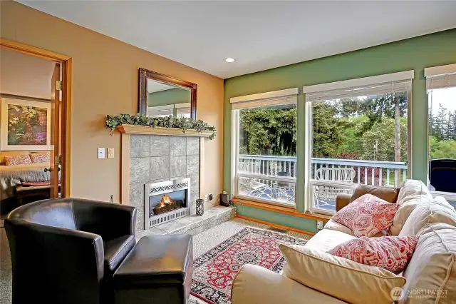 Gas Fireplace with Large Windows~