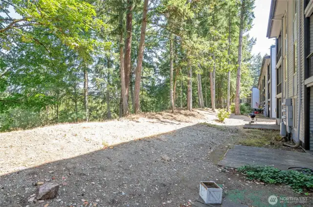View from the back of the patio.