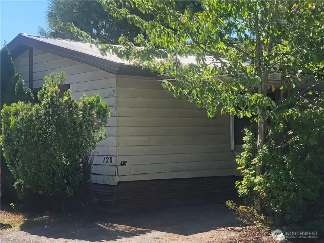 Mature Landscape Creates Privacy