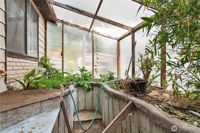 Attached Greenhouse/Terrarium
