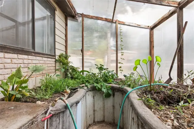 What will you grow?
