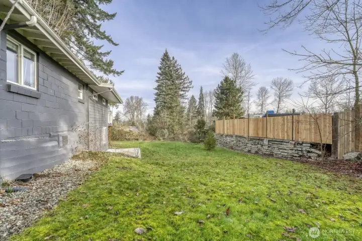 Huge backyard