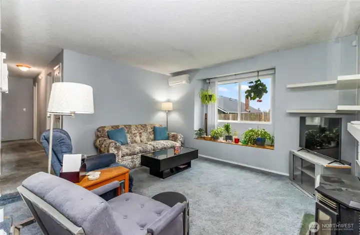 And One More of the Sunken Living Room~