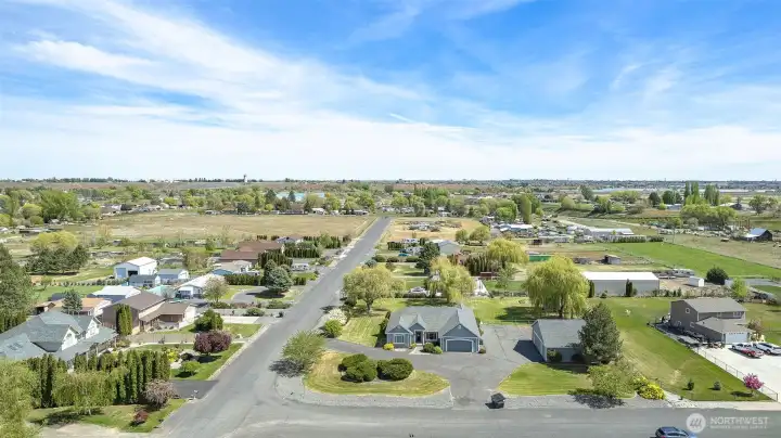 Front View from Snow Goose