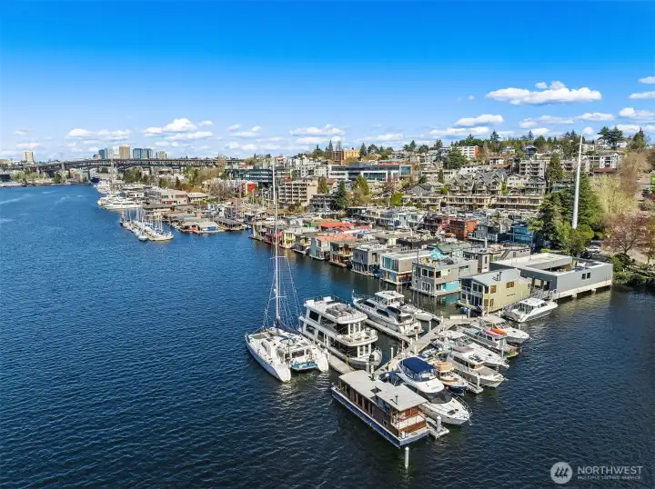 The community in context: a tight row of architect-designed floating homes between Eastlake's tree-lined hillside and the open lake.