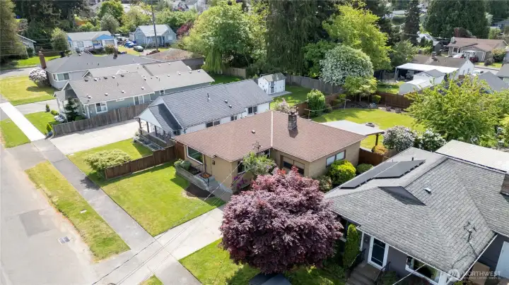 Beautiful yard