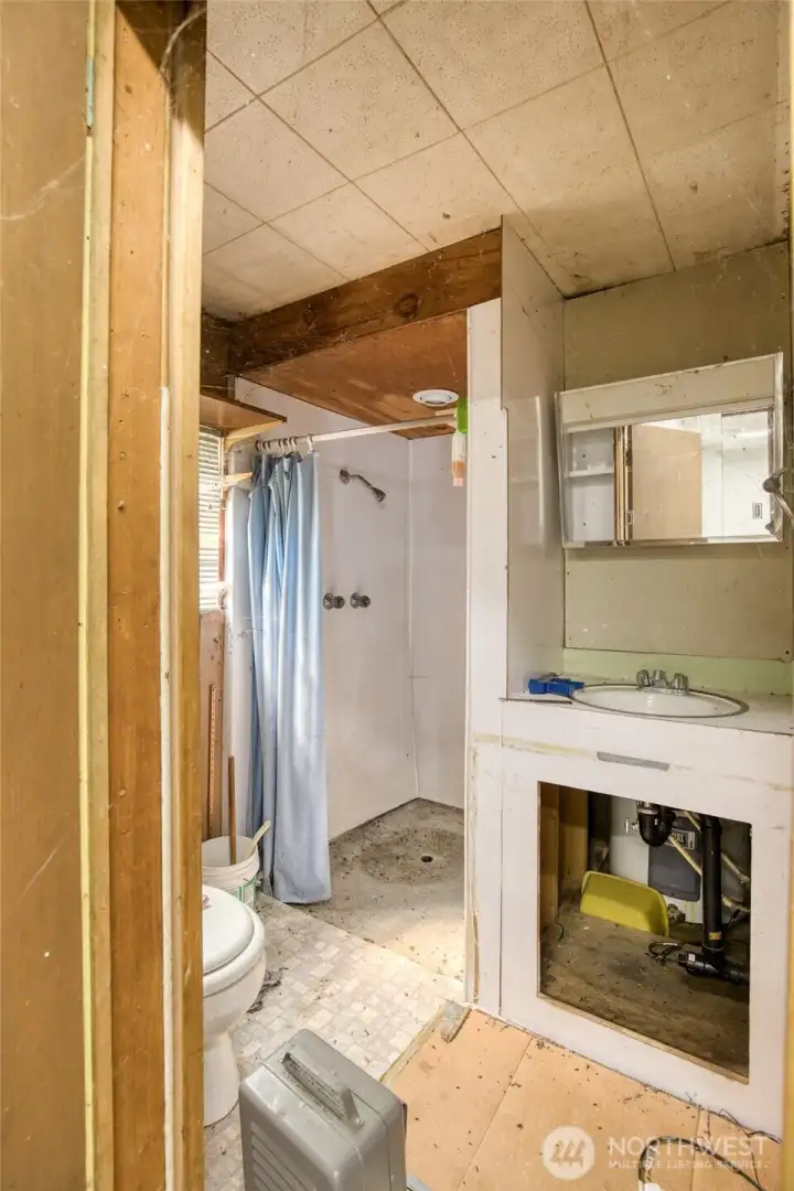 Bonus Room - Bathroom