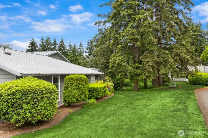 Lucious side grass area for play