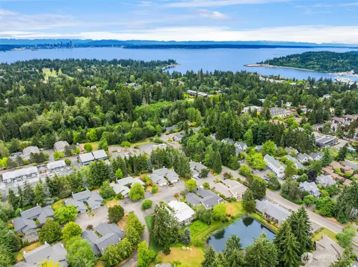 Eagle Harbor and the Bainbridge to Seattle ferry is very close for easy commuting or enjoying Seattle