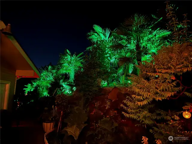 The palm trees light up at night. Isn't that lovely.