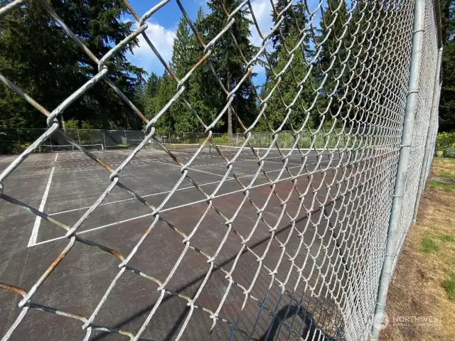 Two side-by-side tennis courts