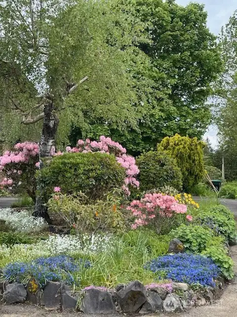 Landscaping in the Spring