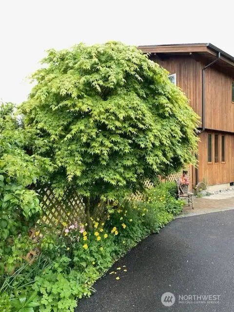 Path to home entrance
