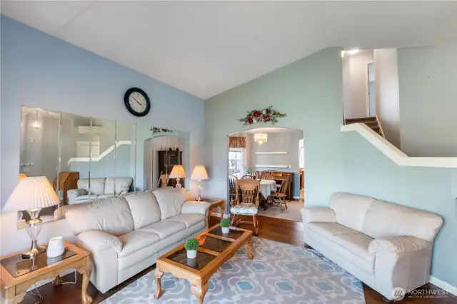 Living room vaulted ceiling